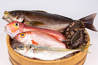 鮮魚(アジ、ノドグロ、甘鯛)
